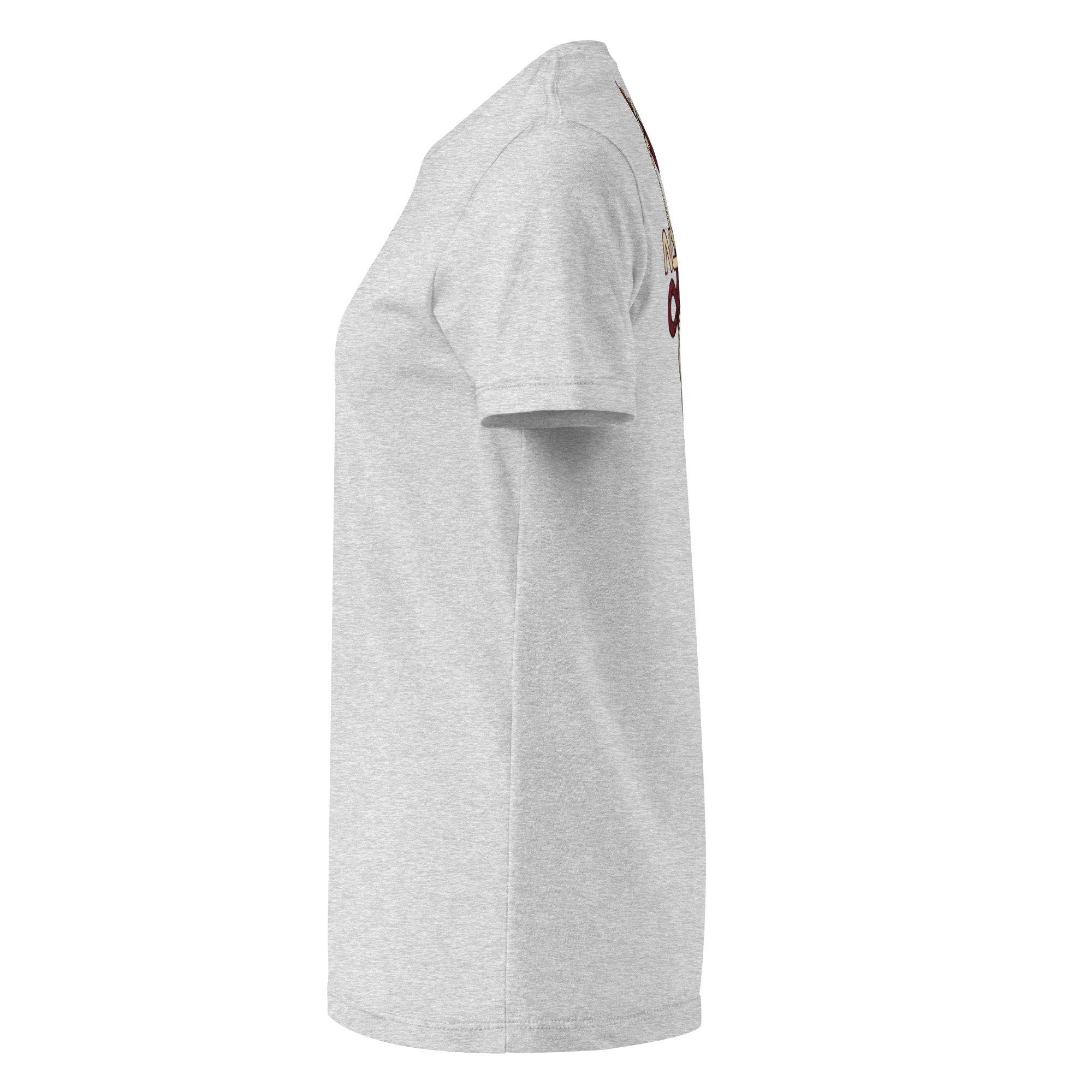 Unisex Organic T-Shirt (Edition 2) – Grey